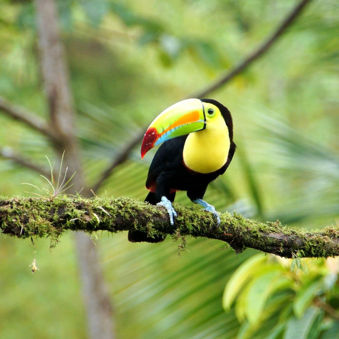 Costa Rica